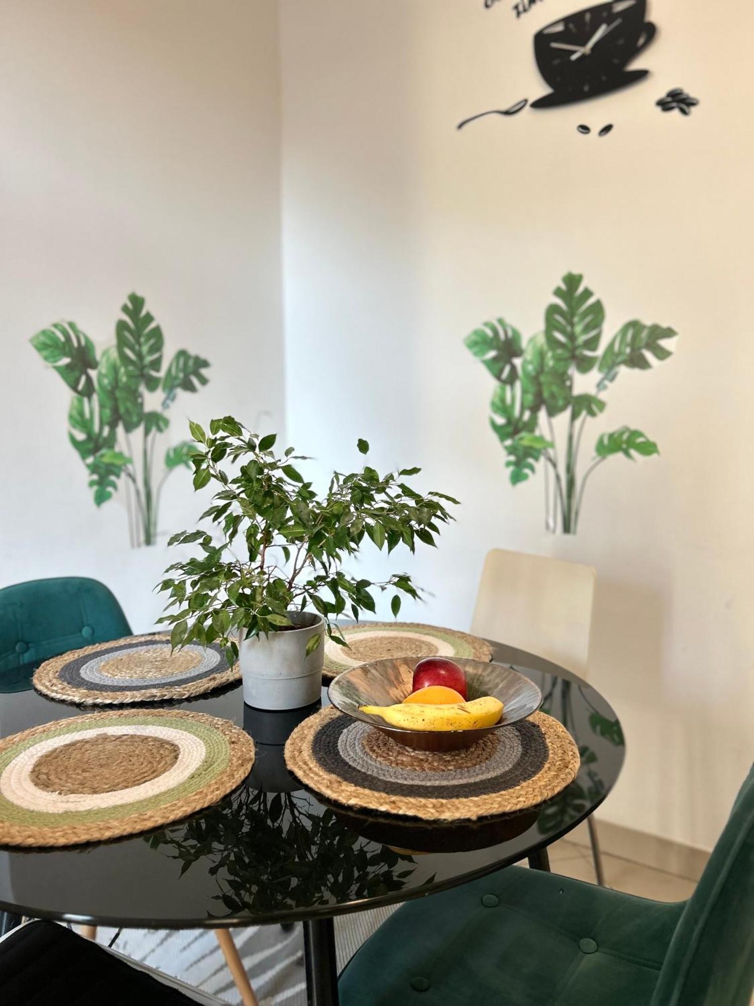 Vintage Senacka 9/7 Apartment クラクフ エクステリア 写真